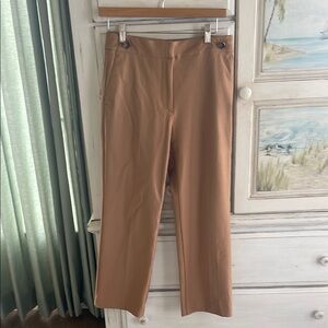 Ann Taylor Tan Straight Leg Pants